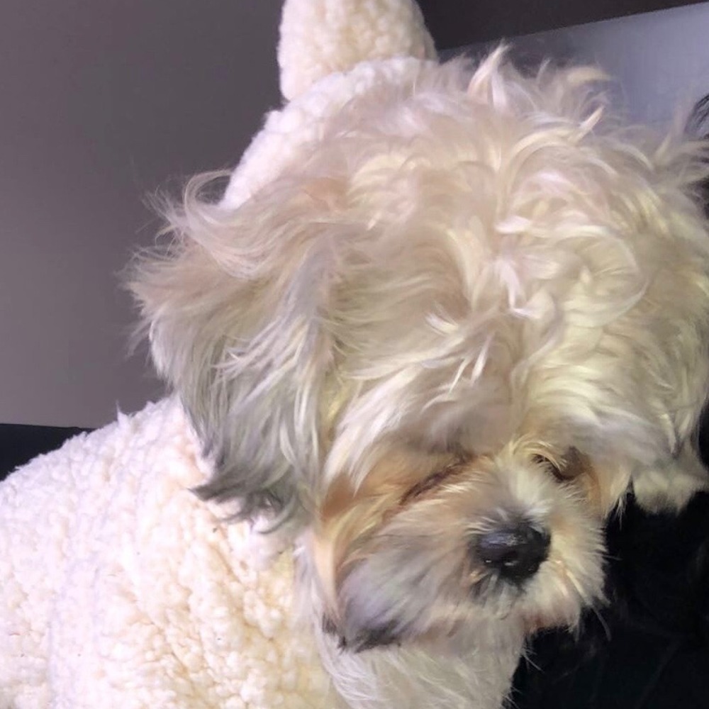 Meet your Posher, Renee